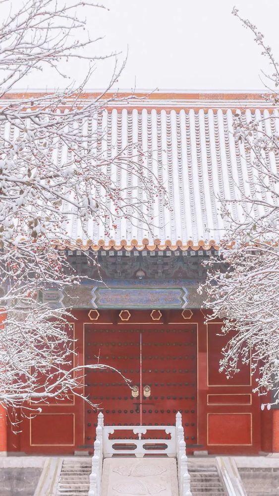 今日专题|故宫雪景壁纸