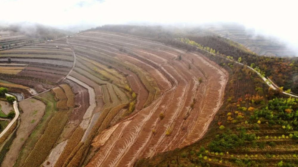 农业规模化,机械化水平,进一步促进土地资源合理利用,今年以来,在张峡