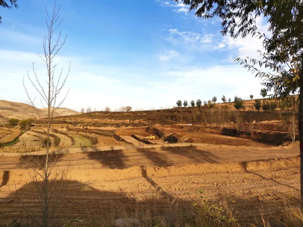 农业规模化,机械化水平,进一步促进土地资源合理利用,今年以来,在张峡