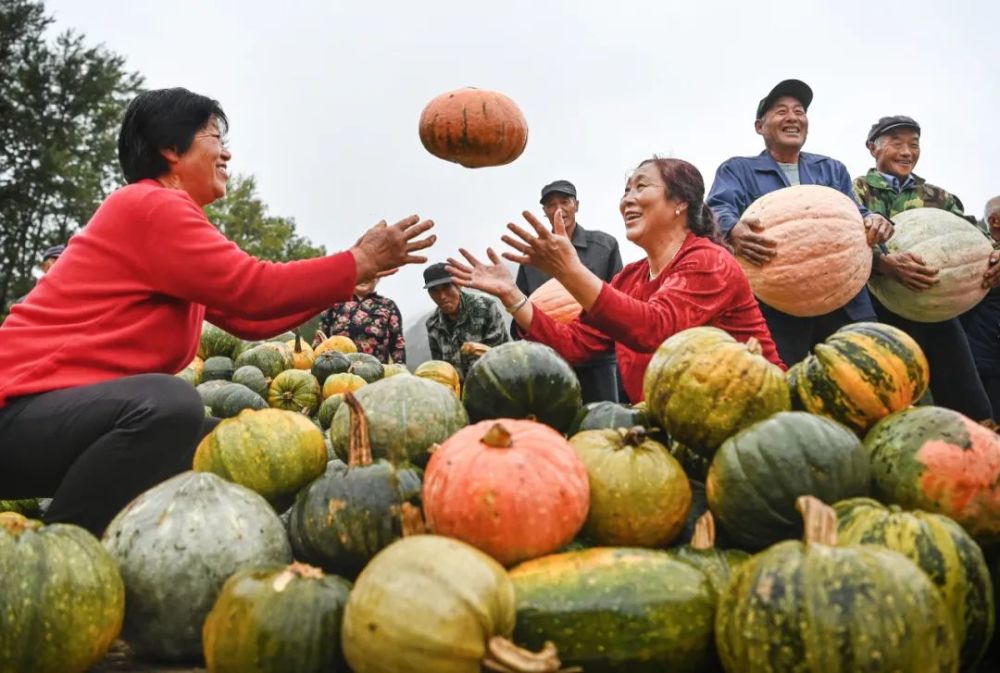 乡村振兴要求农业高质高效,乡村宜居宜业,农民富裕富足.