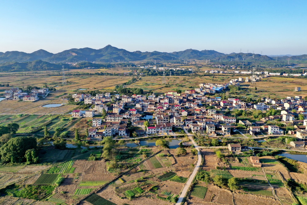 江西金溪:初冬乡村美(组图)