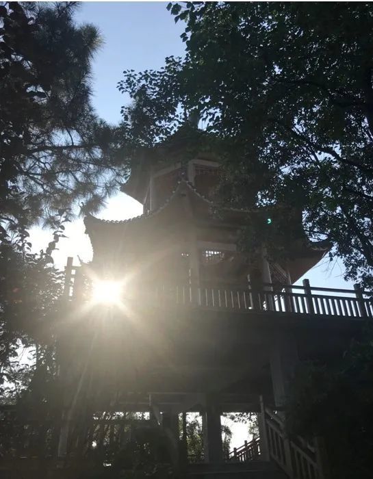 最高奖8000元!宁乡楼台山公园对联征集活动开启,快来投稿