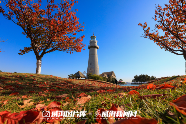我在威海很想你