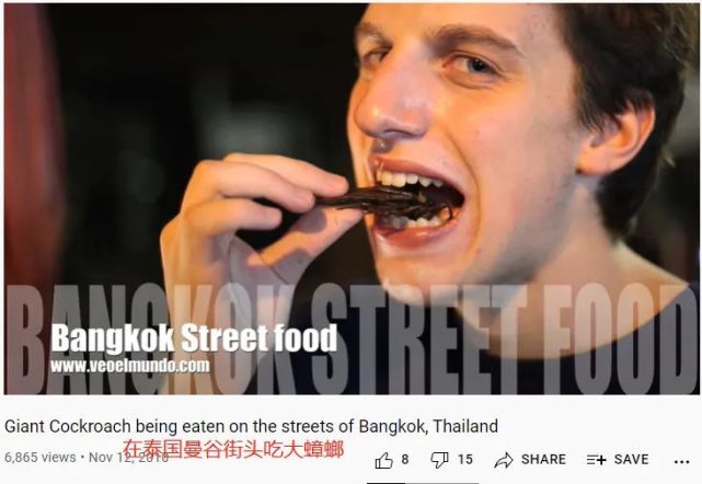 泰国广告蟑螂图片
