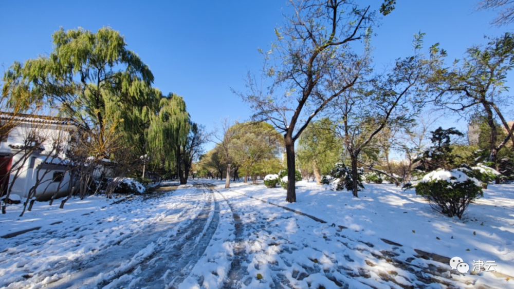 你的朋友圈集齐了天津阴晴雨雪风霜雾吗