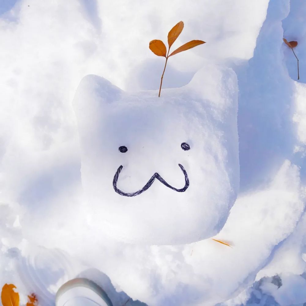 Sdnu雪人图鉴 快来看看是谁的雪人被小招逮住啦 腾讯新闻