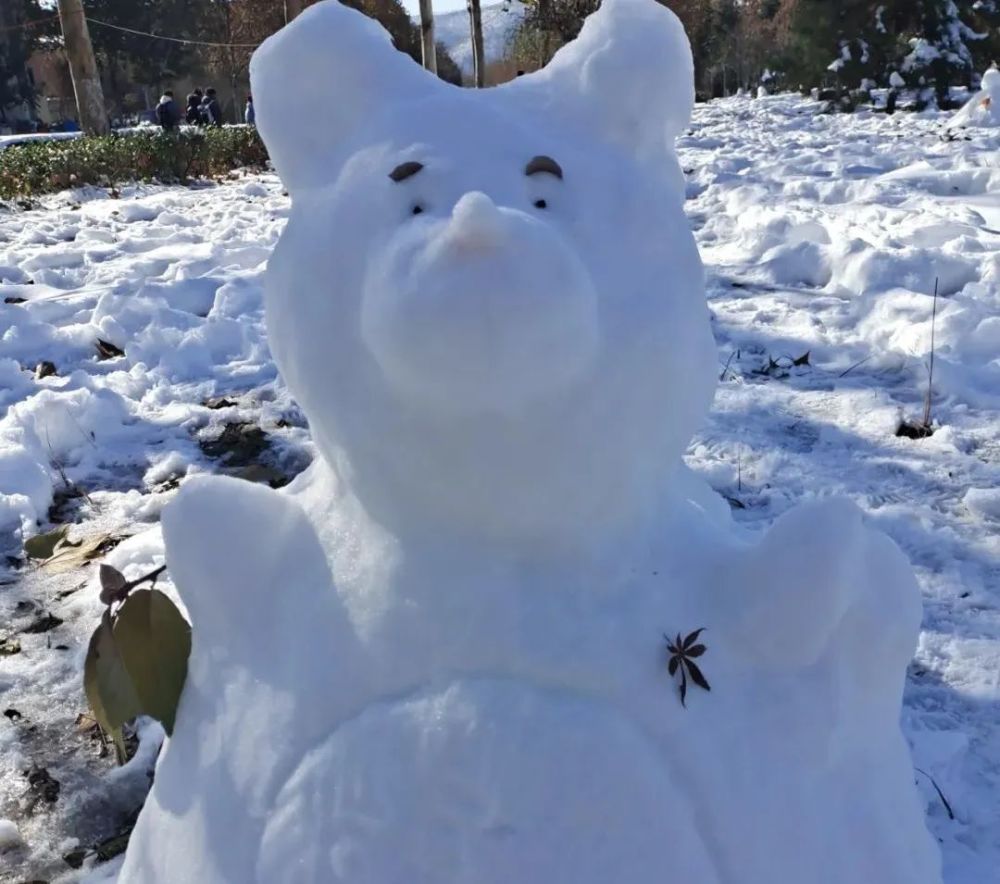 Sdnu雪人图鉴 快来看看是谁的雪人被小招逮住啦 腾讯新闻