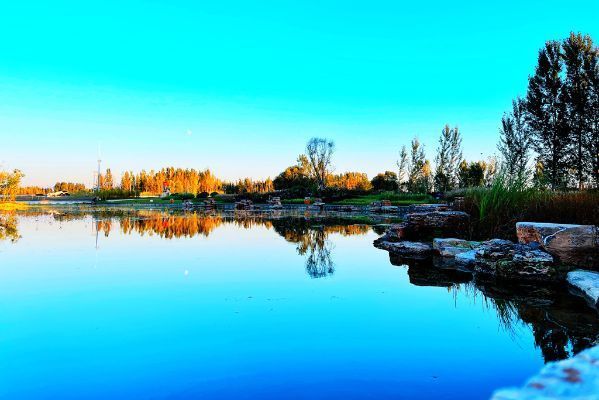 秦皇河国家湿地生态提升工程对外开放