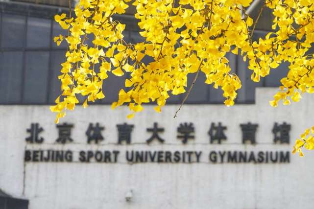 青年眼|秋日的北体大|北京体育大学|秋日