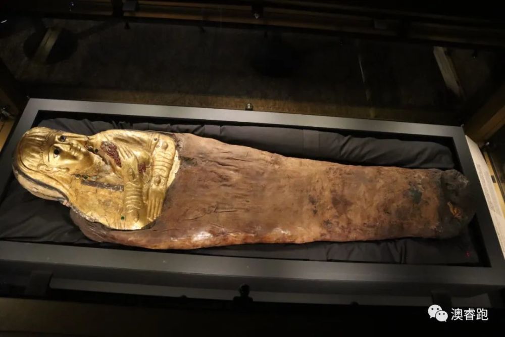 ray精彩黄金木乃伊古埃及文化艺术赏析活动圆满结束