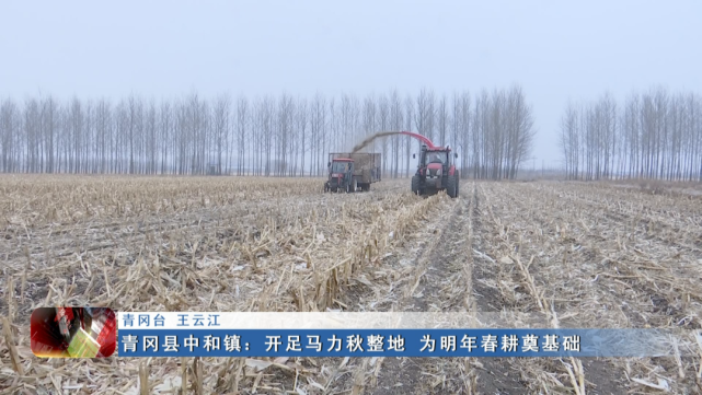 新闻联播▏青冈县中和镇开足马力秋整地为明年春耕奠基础