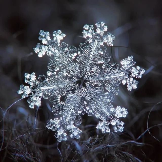 雪花放大后如此美丽你绝对没见过