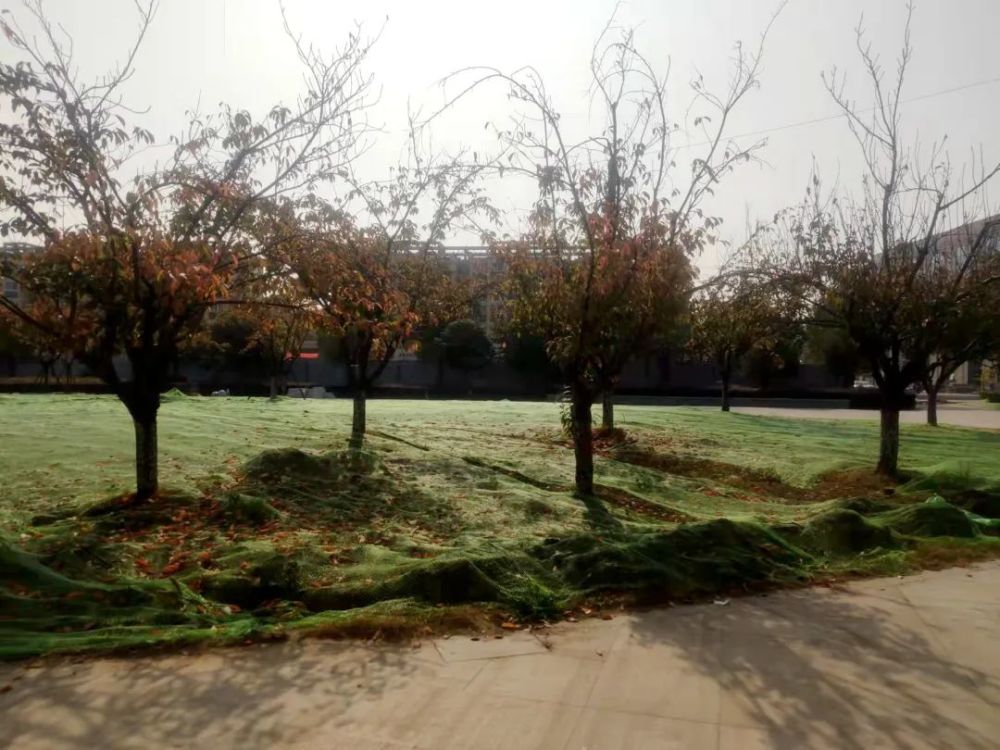 眾安港健身步道龍河灣公園健身步道星火中溝健身步道已經貫通部分的