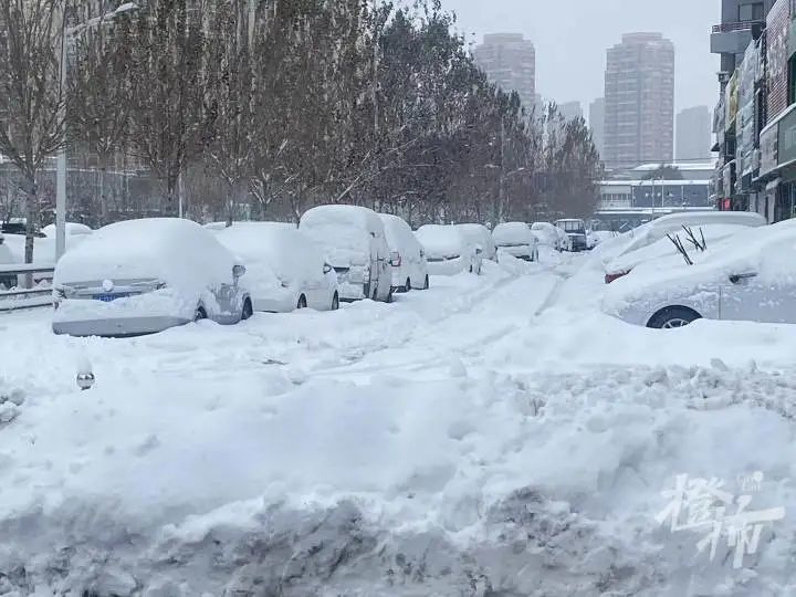 北方这拨暴雪到底有多大橙柿连线当地居民67沈阳街头积雪近半米