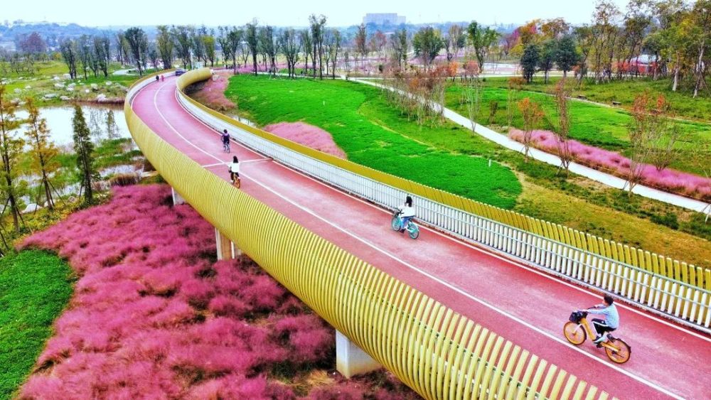 作品名:《快乐骑行》 拍摄地点:龙泉驿区大面镇玉石湿地公园