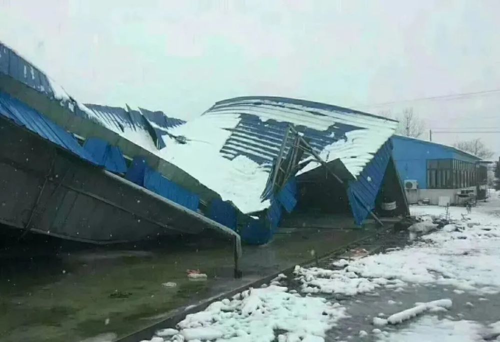 雪灾来袭山东河北河南东北等地受影响辽宁600个鸡舍被压塌