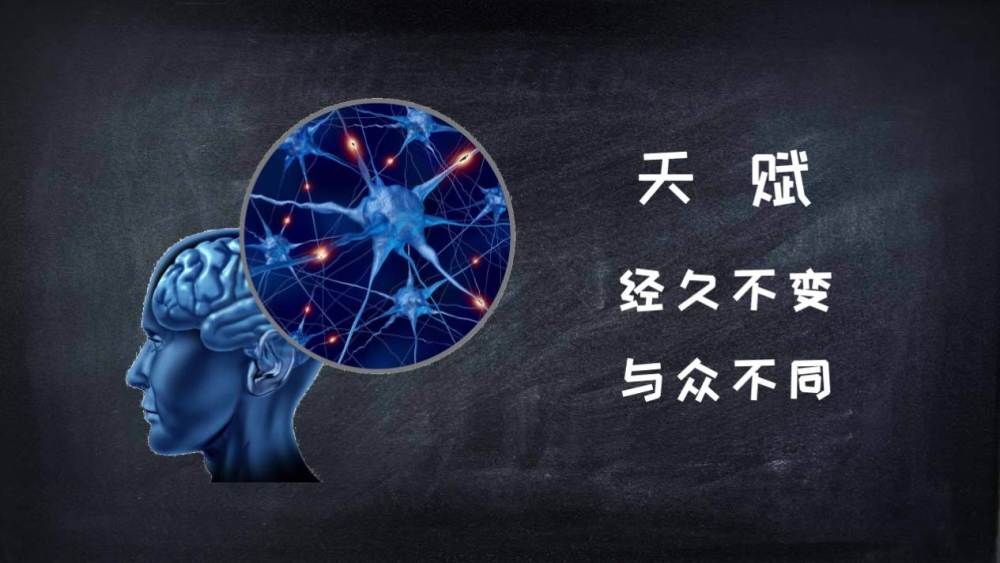 天賦優勢心理學1號人性格分析