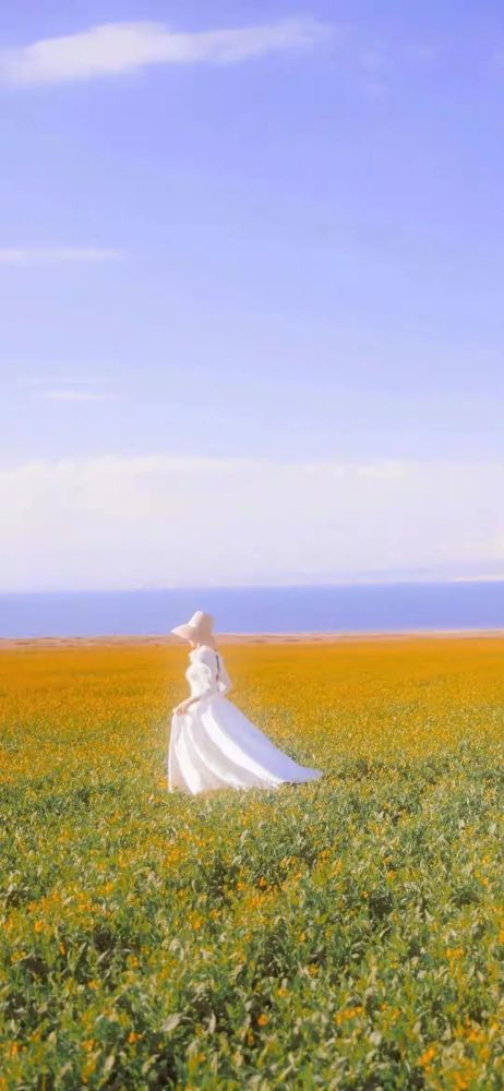 壁纸|披星戴月与温柔重逢