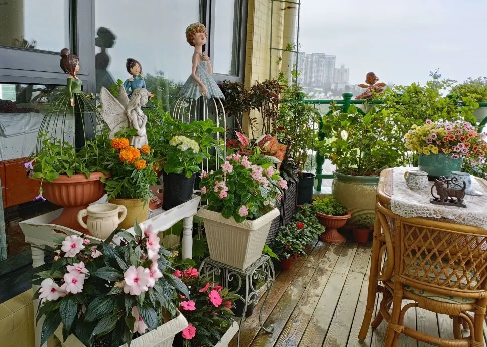香洲十佳"最美阳台",太惊艳!_腾讯新闻