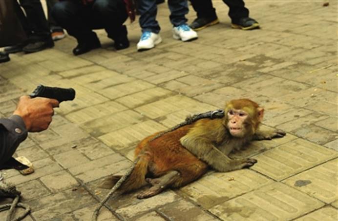 一人一猴杀敌寇抗日道士甘盛荣的爱国故事