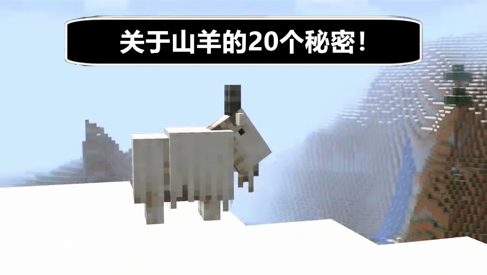 山羊的头会卡在潜影贝我的世界关于山羊的20个秘密