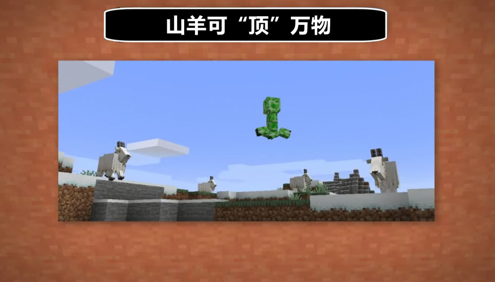 山羊的头会卡在潜影贝我的世界关于山羊的20个秘密