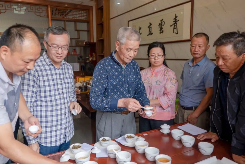 单丛茶种植及加工技术培训在上饶镇,凤凰镇成功举办_腾讯新闻