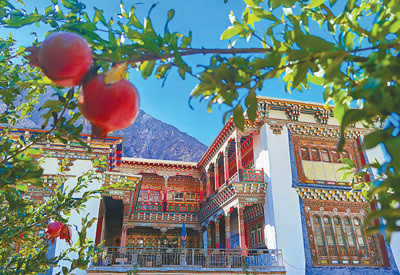 古道明珠果蔬飘香寻找最美乡村东坝乡