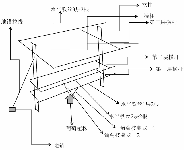 基金项目:赣北地区葡萄v形双龙干避雨栽培技术规程