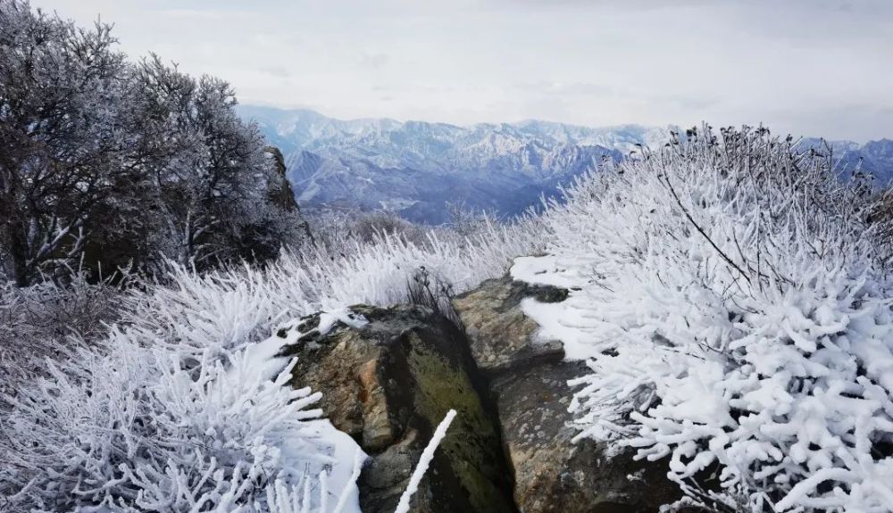 中核人眼中的最美雪景來吧展示