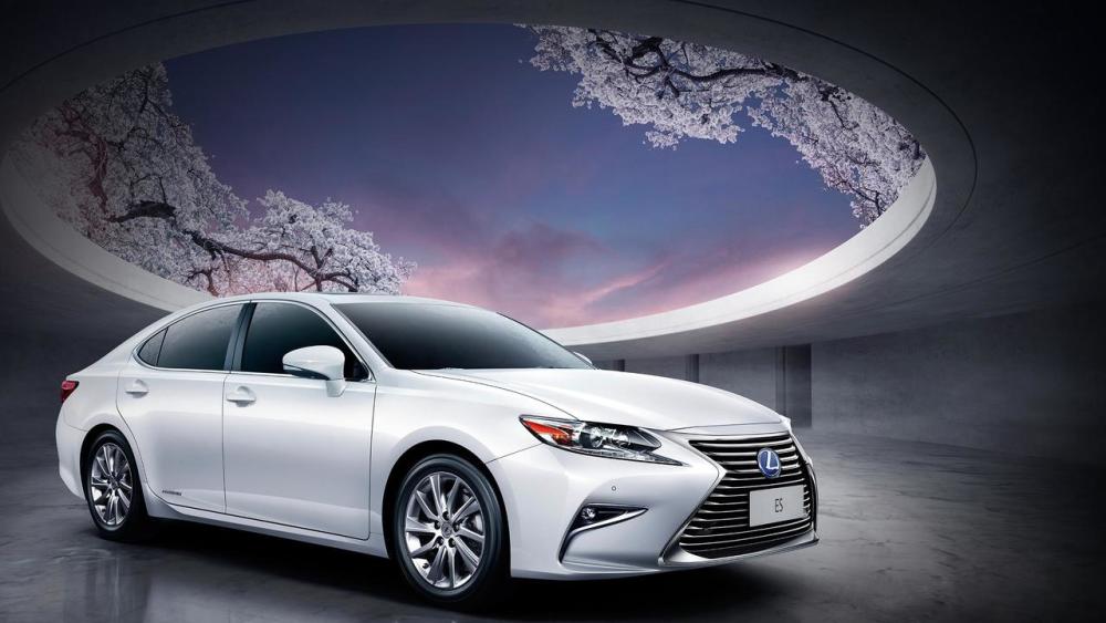 豪华汽车销量排行榜_10月汽车市场销量排名分析!芯片不足、材料上涨,困难与机遇并存