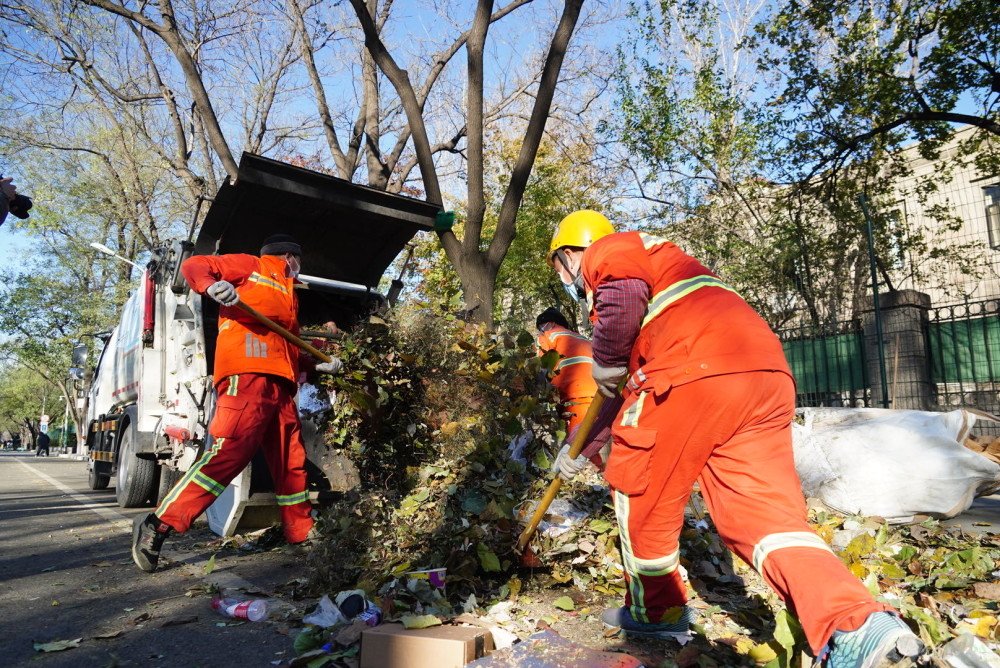 北京市区落叶景观接近尾声环卫工人近期工作量激增数倍