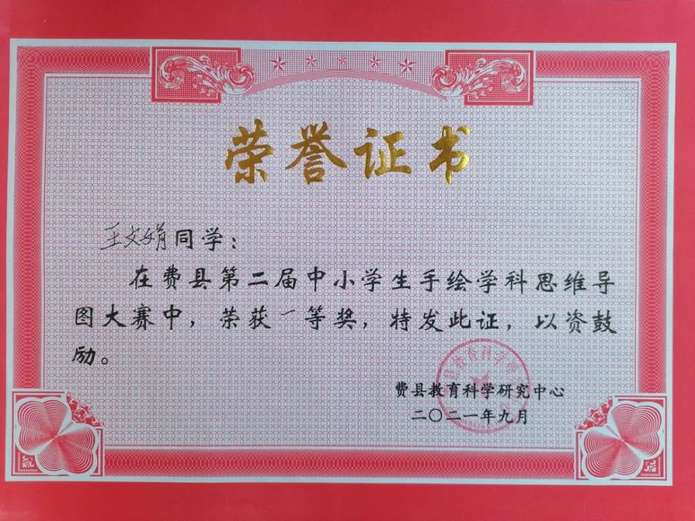 喜报!费县二中学子在中小学生思维导图比赛中喜获佳绩