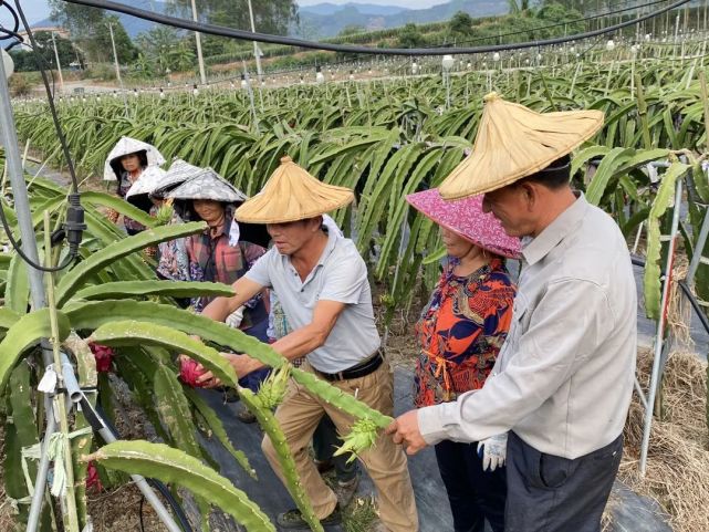 主办/漳浦县融媒体中心编校/陈伊灵 陈静娴责编/杨晓芳监制/刘思考