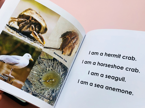 原版书小百科动物系列让孩子从兴趣出发爱上英语阅读