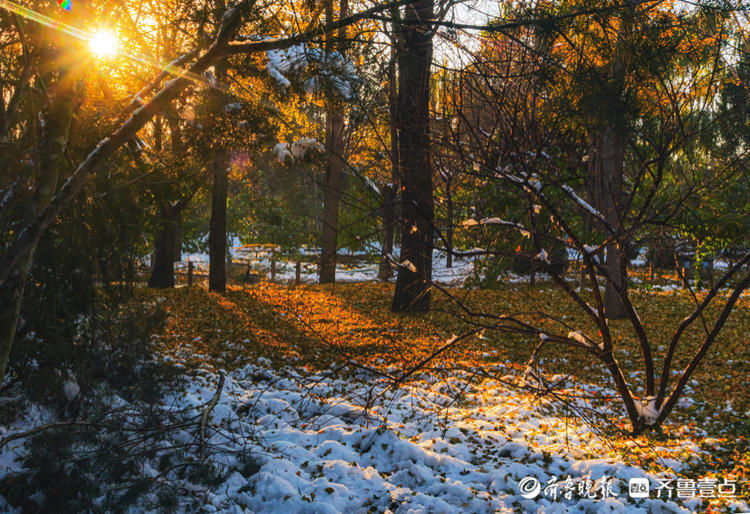 雪後初晴濟南泉城公園處處美景