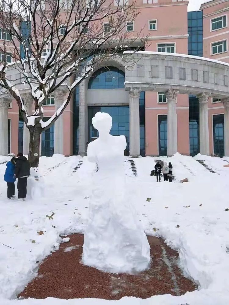 鞍山師範學院美術學院 舉行了一場堆雪人大賽 龍貓,小狐狸,雪獅子