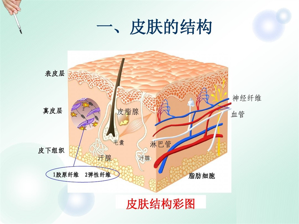 洗澡搓出来的黑泥到底是什么显微镜放大1000倍看完一阵恶寒