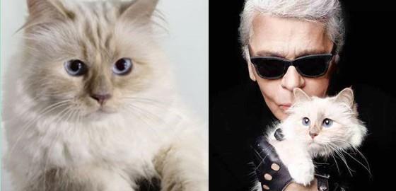 "老佛爷"卡尔·拉格斐:死前把21亿遗产留给宠物猫,如今怎样了_腾讯