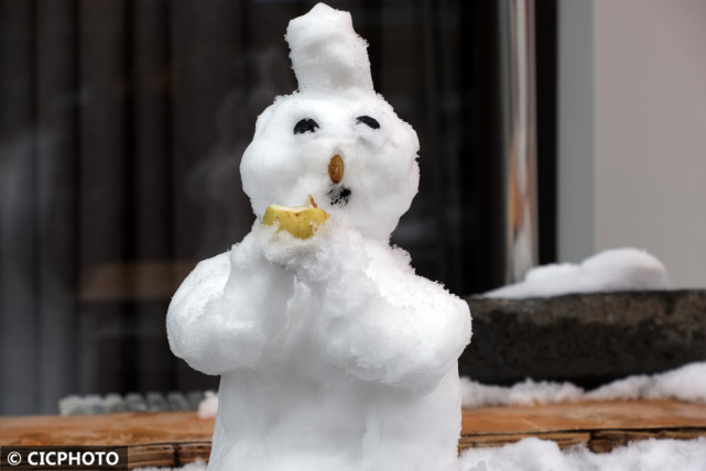 以上图片:2021年11月9日,在辽宁省沈阳市拍摄的形态各异的雪人.