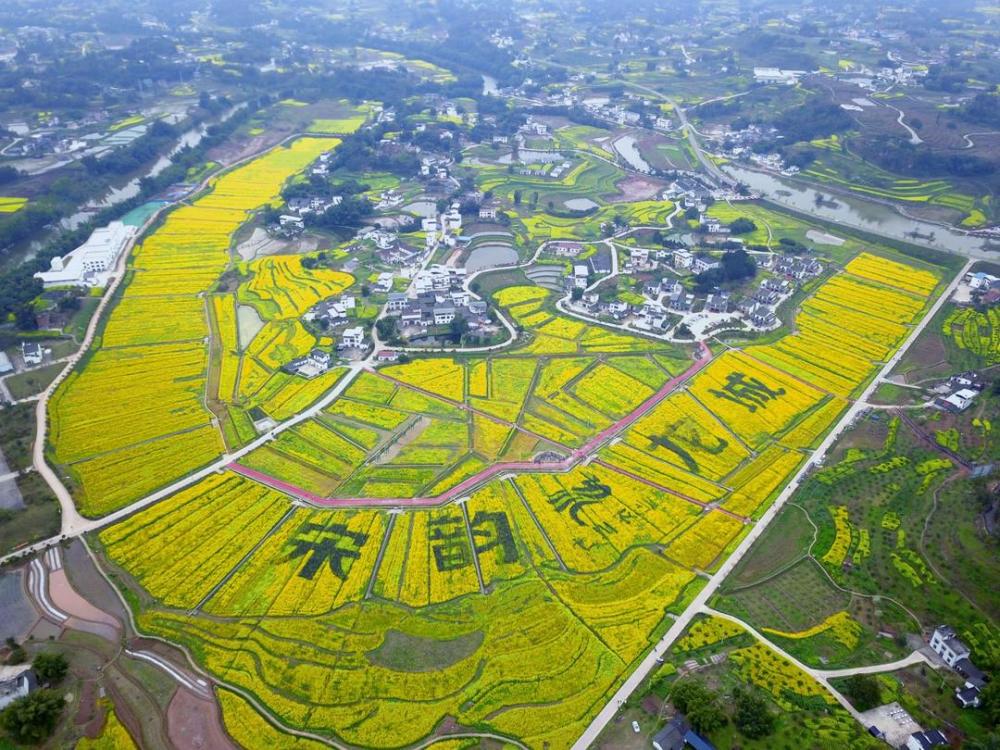 泸水县景点图片