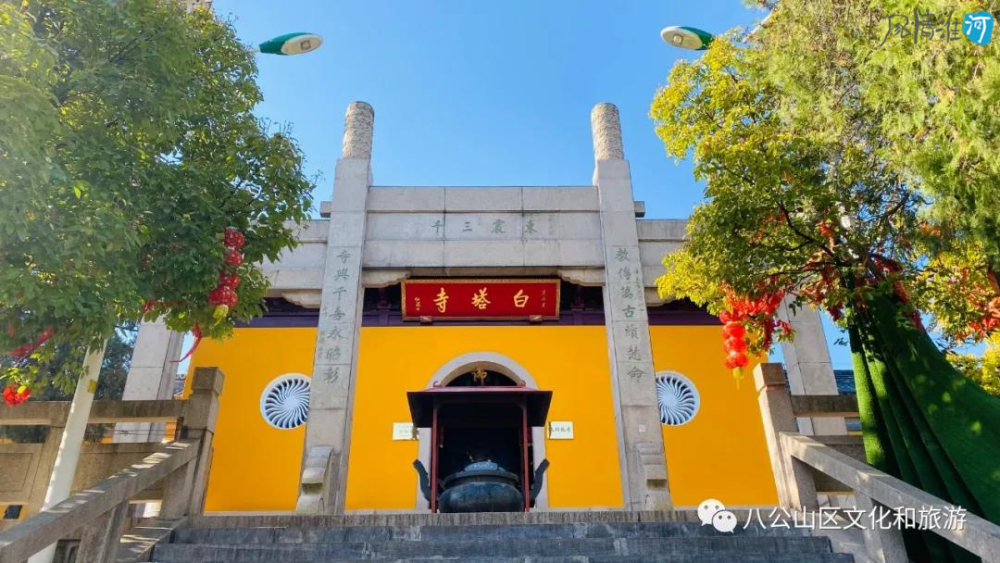 美好安徽风情淮河白塔寺秋意渐浓赏银杏佳期将至