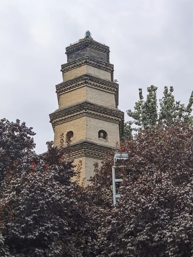 宝庆寺塔作为宝庆寺唯一的遗存, 它驻立在书院门口,见证着千年古都的