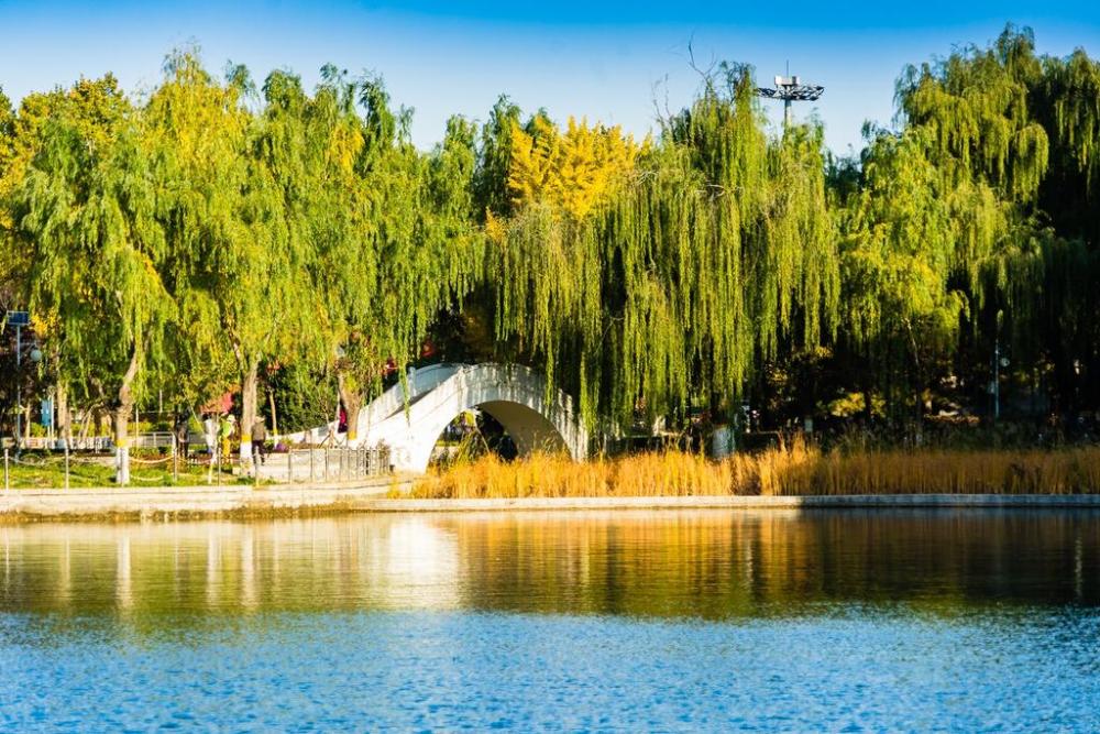 北京大兴康庄公园的秋景_腾讯新闻