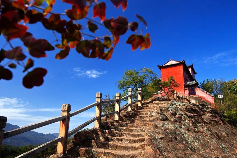 登臨鳴鳳山金頂,看秋色鋪滿遠安大地,斑斕明豔.