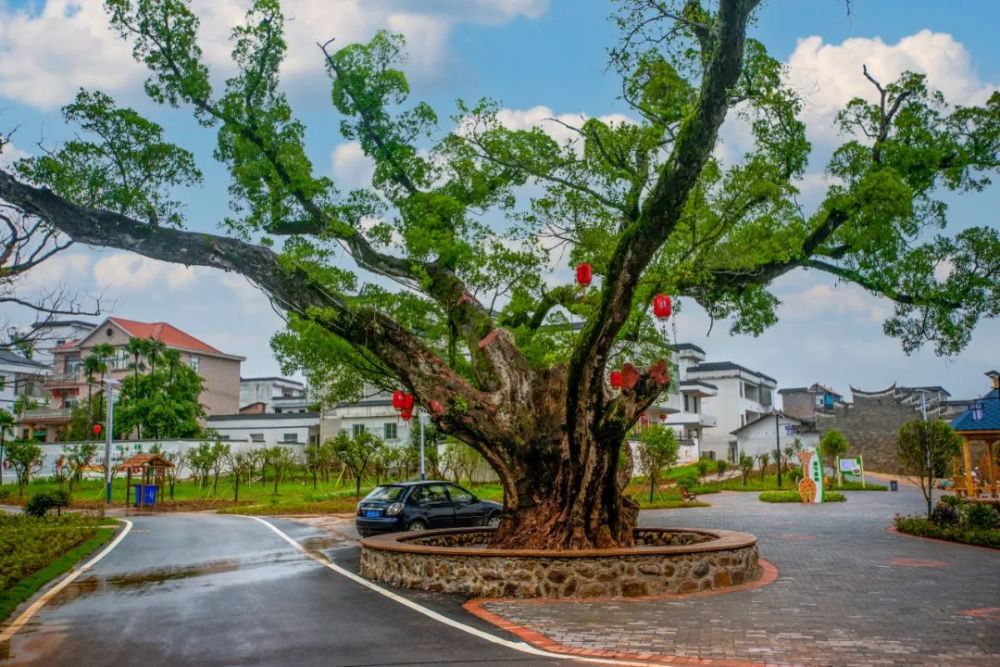 于都12处醉美客家村落之——观背村_腾讯新闻