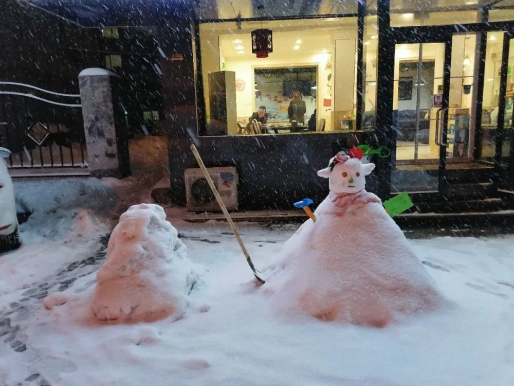 用雪堆狮子的图片图片