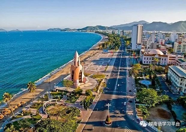 越南同塔省超过5000公顷的芒果种植区获颁服务于出口的种植区号