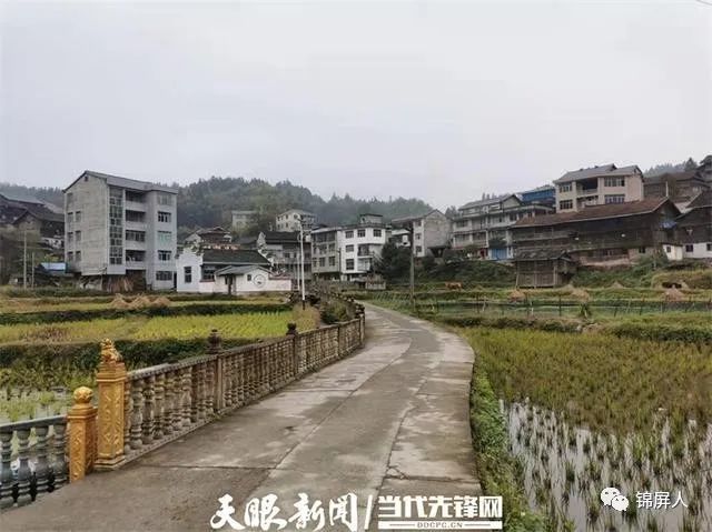 锦屏县平秋镇魁胆侗寨乡村振兴见闻