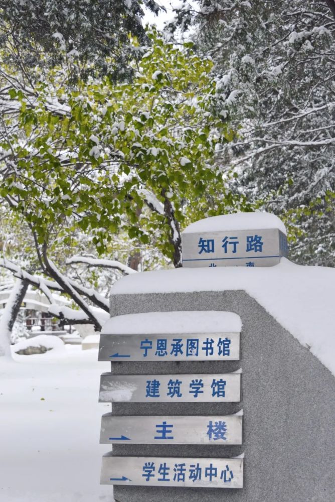 東北大學的雪景太美了已經畢業的都羨慕壞了